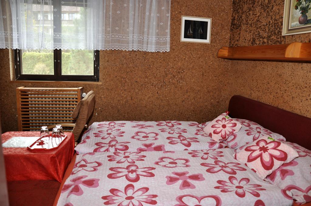 Pension Nika Чешки Крумлов Екстериор снимка